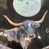 Hand Painted Longhorn Head Record