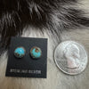 Kingman Turquoise 8mm stud earrings