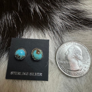 Kingman Turquoise 8mm stud earrings