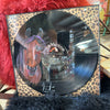 Hand Painted Bay Roan Horsehead Record