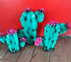 CACTUS WITH FLOWERS