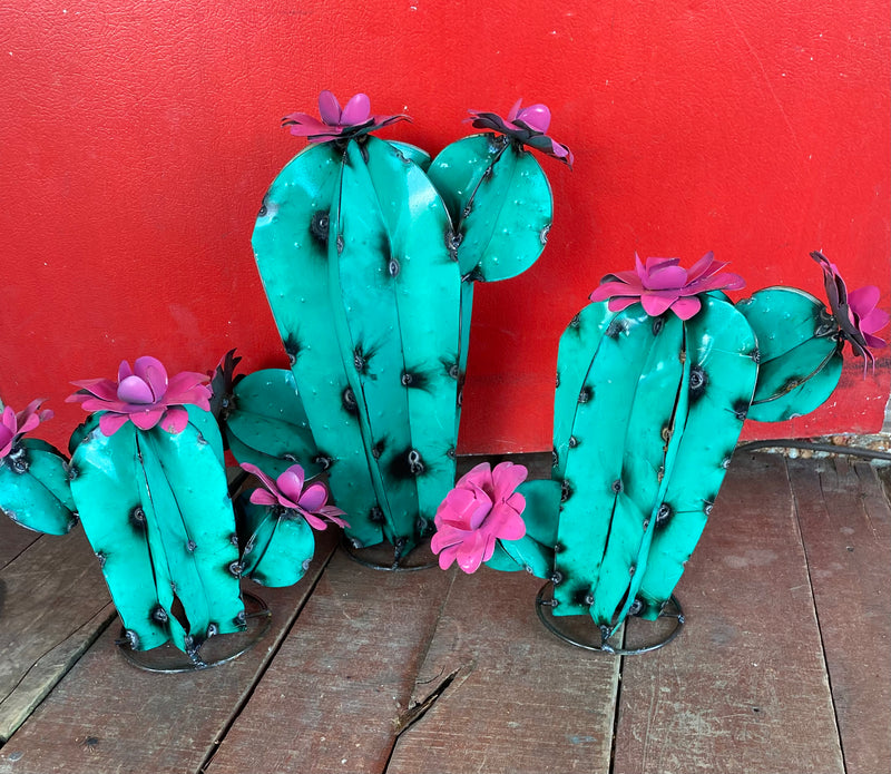 CACTUS WITH FLOWERS