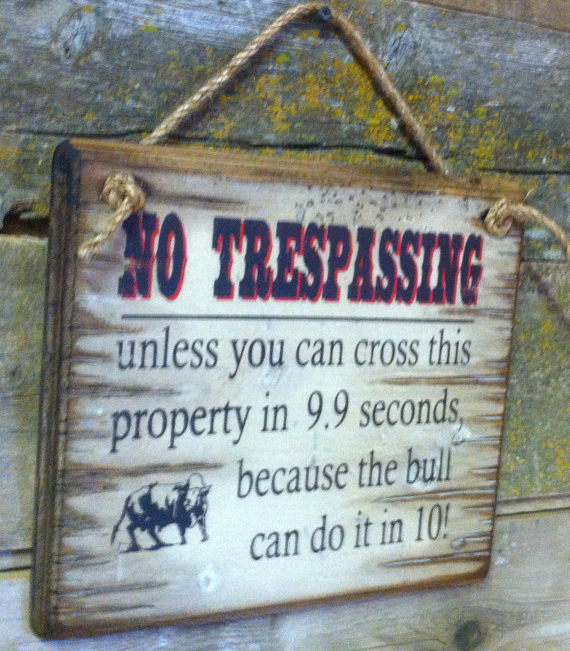 NO TRESPASSING, Antiqued, Humorous, Wooden Sign