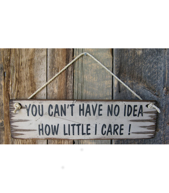 You Can't Have No Idea How Little I Care Wooden Sign