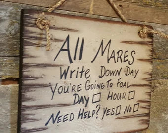 All Mares Write Down Day You're Going To Foal, Humorous, Western, Antiqued, Wooden Sign in WHITE